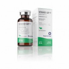 STAND UP 20ML